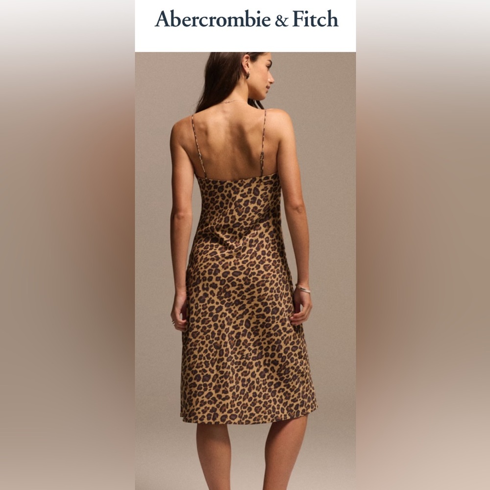 Abercrombie & Fitch Leopard Print Maxi Dress